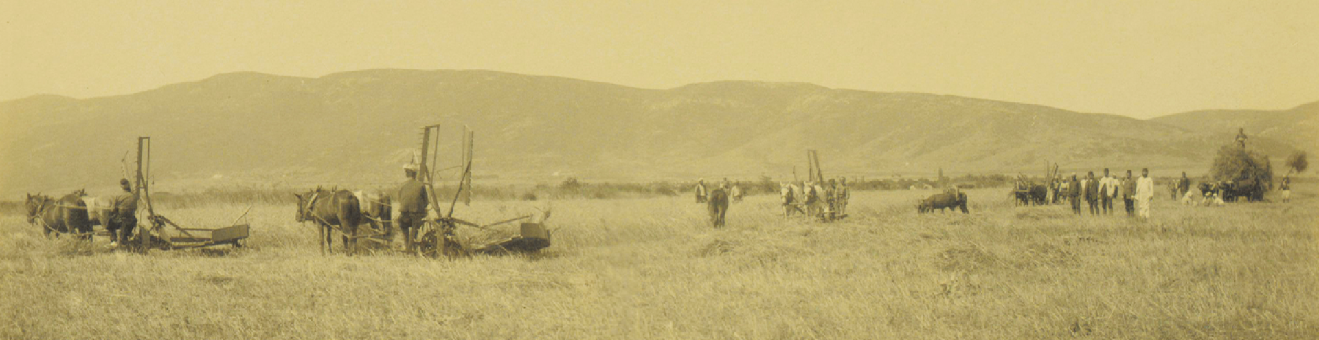 1741286887-abdulhamidin-izmirdeki-ciftlikleri-slider