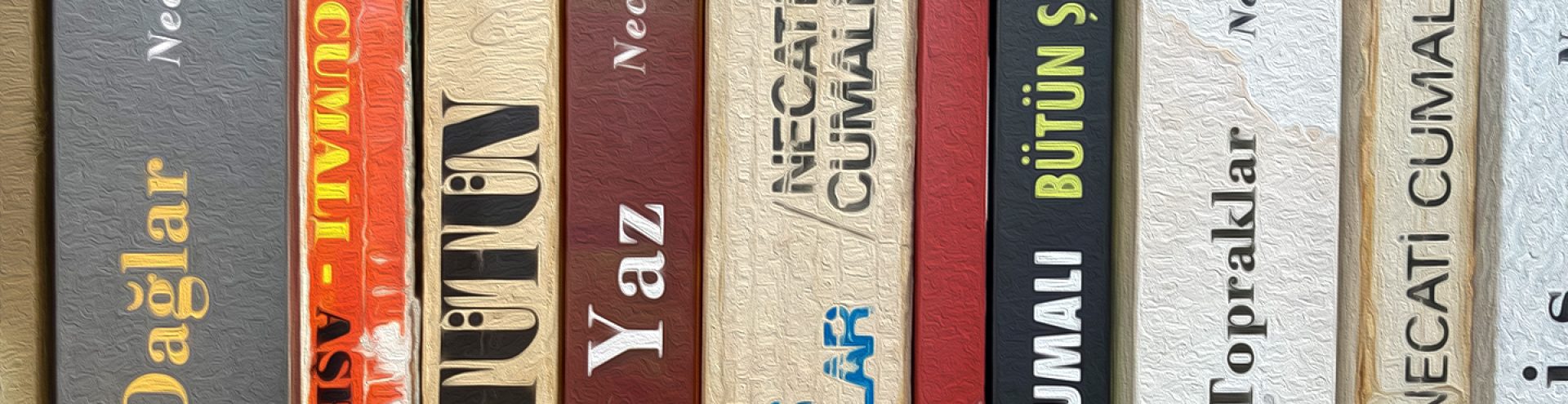 1748268439-urladan-kordona-necati-cumalin-hafiza-haritasi